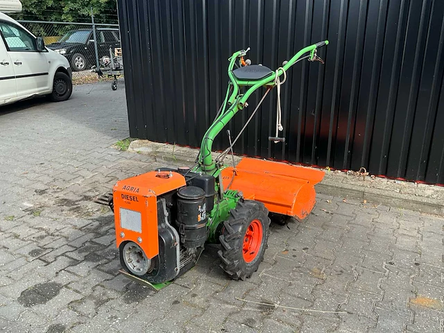 Agria tuinfrees - afbeelding 1 van  11