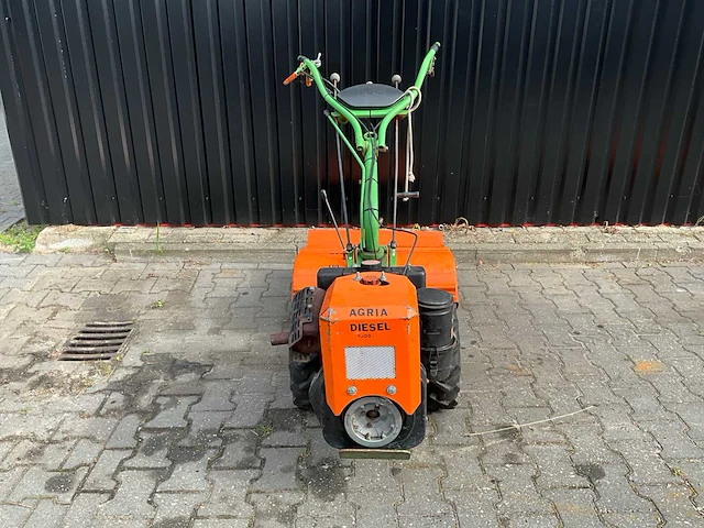 Agria tuinfrees - afbeelding 4 van  11