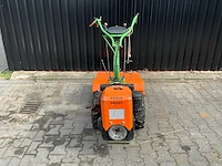 Agria tuinfrees - afbeelding 4 van  11