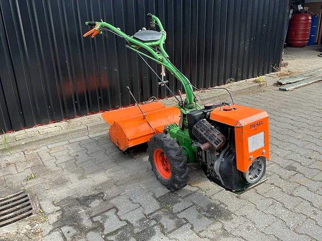 Agria tuinfrees - afbeelding 5 van  11