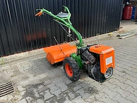 Agria tuinfrees - afbeelding 5 van  11