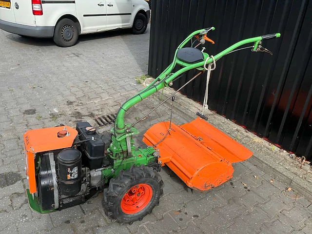 Agria tuinfrees - afbeelding 6 van  11