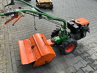 Agria tuinfrees - afbeelding 8 van  11