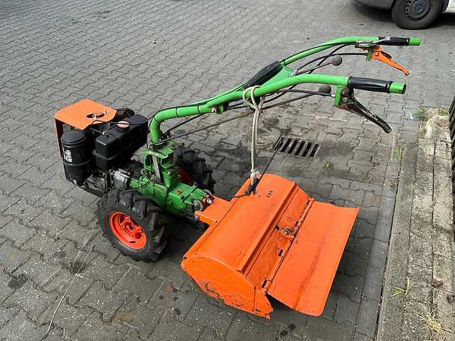 Agria tuinfrees - afbeelding 9 van  11