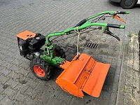 Agria tuinfrees - afbeelding 9 van  11