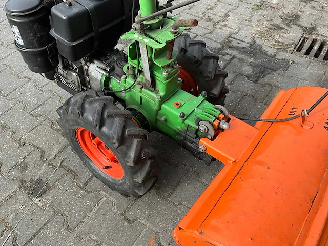 Agria tuinfrees - afbeelding 11 van  11