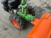 Agria tuinfrees - afbeelding 11 van  11