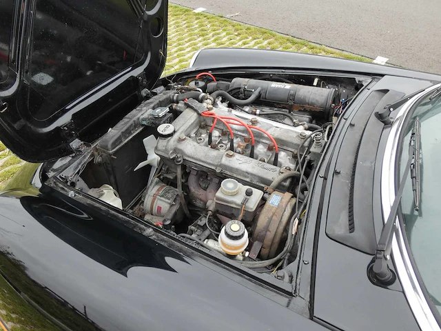 Alfa romeo - spider graduate - 2.0 veloce - youngtimer > 15 - afbeelding 21 van  35