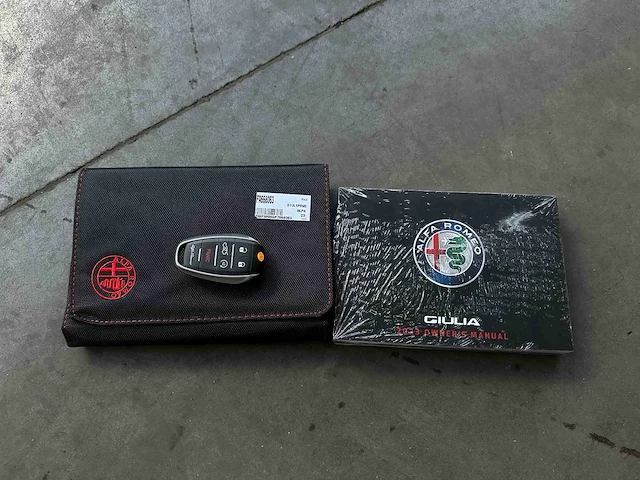 Alfa romeo giulia 2.0 280pk 2023 - afbeelding 41 van  49