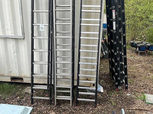 Alga ladder delen (7x) - afbeelding 3 van  5