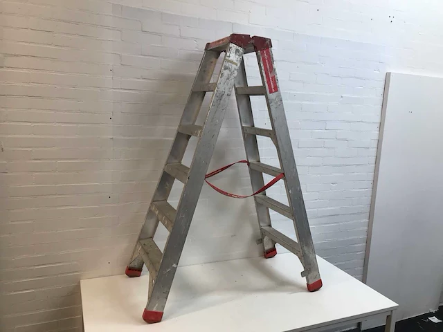 Alga ladder en trap - afbeelding 1 van  2