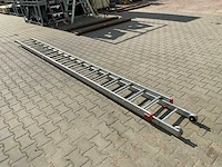 Alga ladder - afbeelding 2 van  5