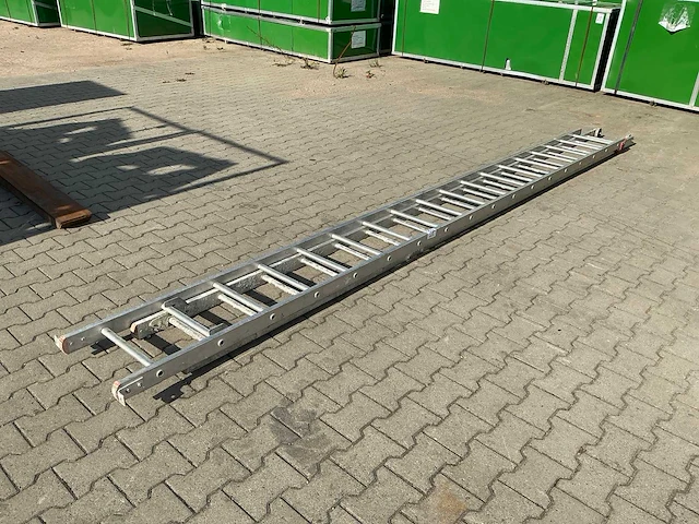 Alga ladder - afbeelding 3 van  5
