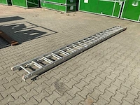 Alga ladder - afbeelding 3 van  5