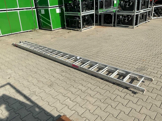 Alga ladder - afbeelding 4 van  5