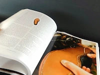 Alles uber herrenshuhe - afbeelding 5 van  5