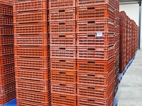 Allibert - afbeelding 1 van  8