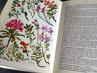 Alpenflora - afbeelding 5 van  5
