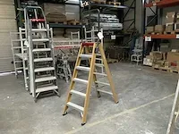 Altrex taurus trapladder