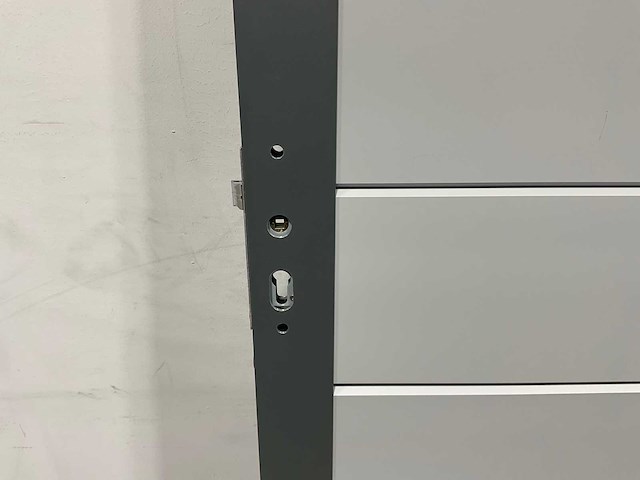 Aluminium tuindeur - lichtgrijs - 183x93 cm - afbeelding 5 van  9