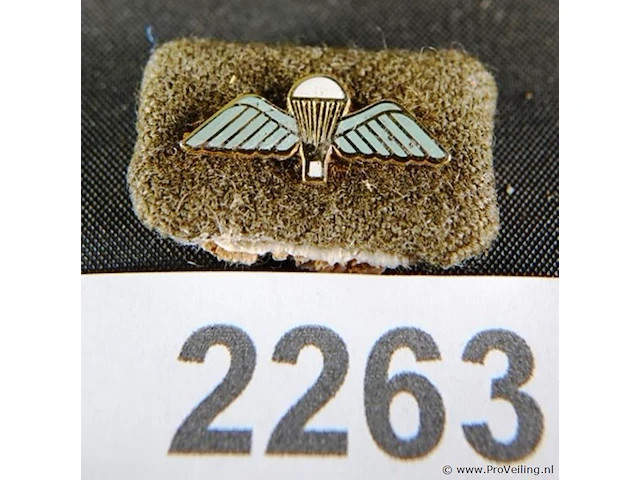 Amerikaans insigne - afbeelding 1 van  3