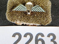 Amerikaans insigne - afbeelding 1 van  3