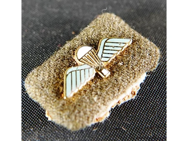 Amerikaans insigne - afbeelding 2 van  3