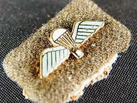 Amerikaans insigne - afbeelding 2 van  3