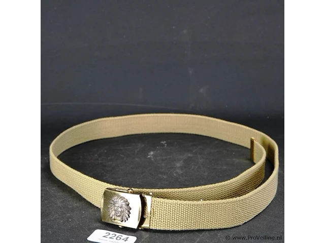 Amerikaanse bucklebelt - afbeelding 1 van  3