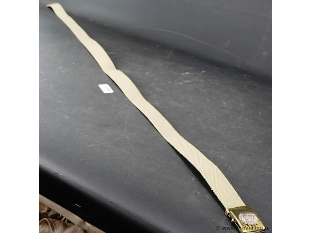 Amerikaanse bucklebelt - afbeelding 3 van  3