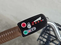 Amigo - transport - elektrische fiets 0065 - afbeelding 7 van  9