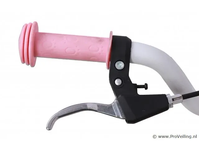 Amigo lovely meisjesfiets 12 inch met terugtraprem - kleur roze (270-405 crtns) - afbeelding 4 van  8