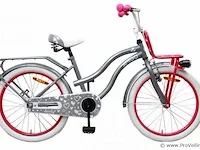 Amigo lovely meisjesfiets 20 inch met terugtraprem - kleur grijs (404845) - afbeelding 1 van  9