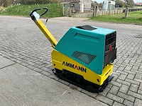 Ammann apr 4920 trilplaat - afbeelding 3 van  10