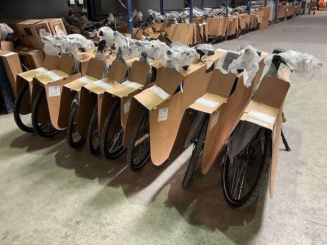 Amslod - eton e-md - “b-keus” elektrische damesfiets 53cm (5x) - afbeelding 7 van  17