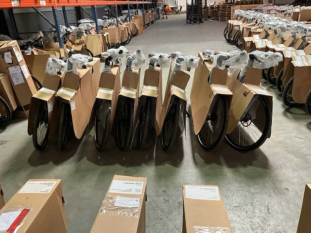 Amslod - eton e-md - “b-keus” elektrische damesfiets 53cm (5x) - afbeelding 8 van  17