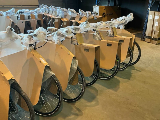 Amslod - luton e-mv -“b-keus” elektrische fiets (6x) - afbeelding 10 van  12