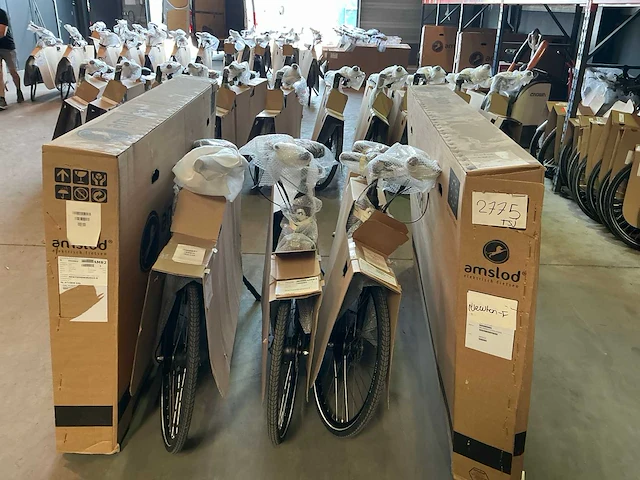 Amslod - newton f-lv - “b-keus” elektrische damesfiets 59cm (5x) - afbeelding 2 van  12