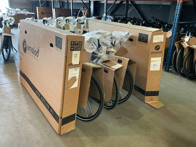 Amslod - newton f-lv - “b-keus” elektrische damesfiets 59cm (5x) - afbeelding 12 van  12