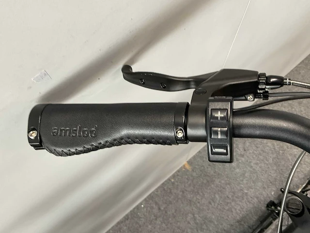 Amslod boston e-lv elektrische damesfiets 59cm - afbeelding 6 van  9