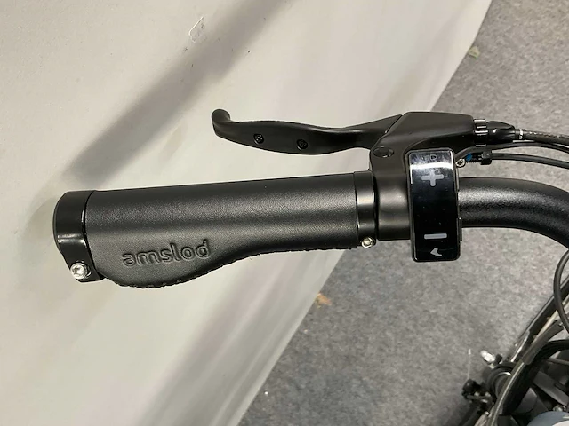 Amslod carlton f-sv elektrische damesfiets 49cm - afbeelding 8 van  10