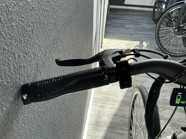 Amslod dalton e-lv elektrische fiets - afbeelding 9 van  11