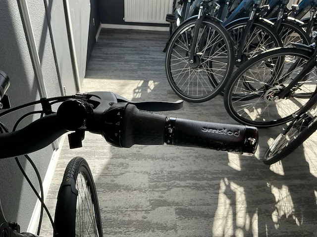 Amslod dalton e-lv elektrische fiets - afbeelding 10 van  11