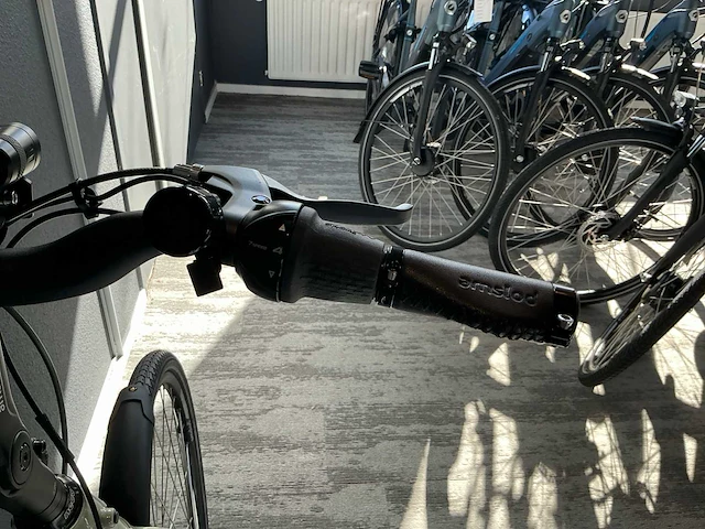 Amslod dalton e-lv elektrische fiets - afbeelding 10 van  11
