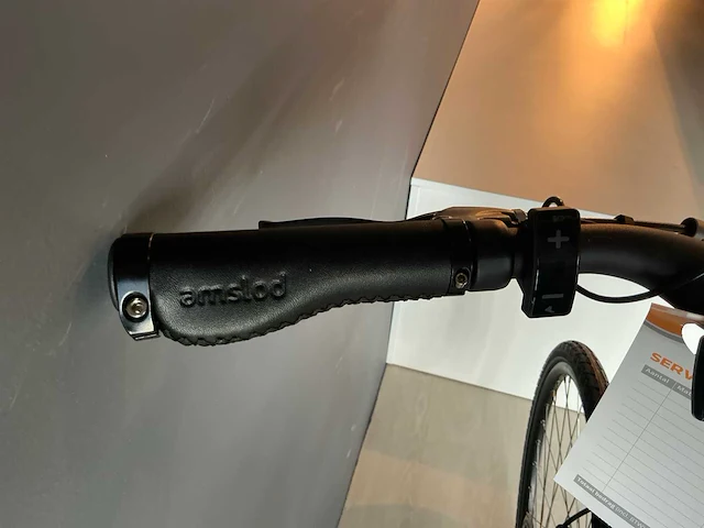 Amslod denton e-lv elektrische fiets - afbeelding 9 van  11