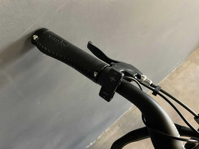 Amslod denton e-lv elektrische herenfiets 54cm - afbeelding 9 van  10