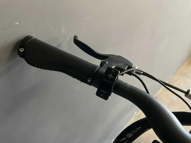 Amslod denton e-lv elektrische herenfiets 56cm - afbeelding 9 van  11
