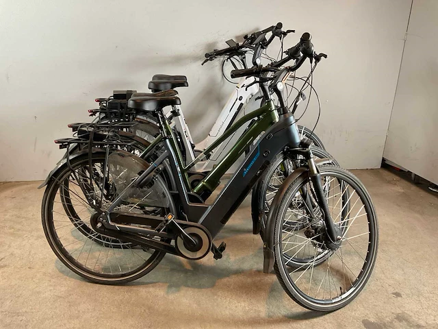 Amslod elektrische damesfiets (4x) - afbeelding 2 van  7