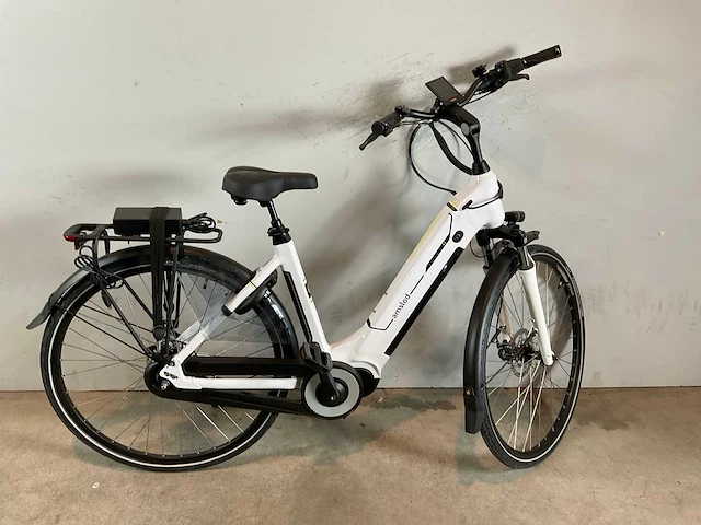 Amslod elektrische damesfiets (4x) - afbeelding 4 van  7