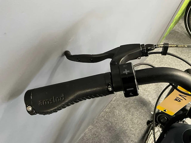 Amslod hamilton f-mv elektrische fiets - afbeelding 8 van  11